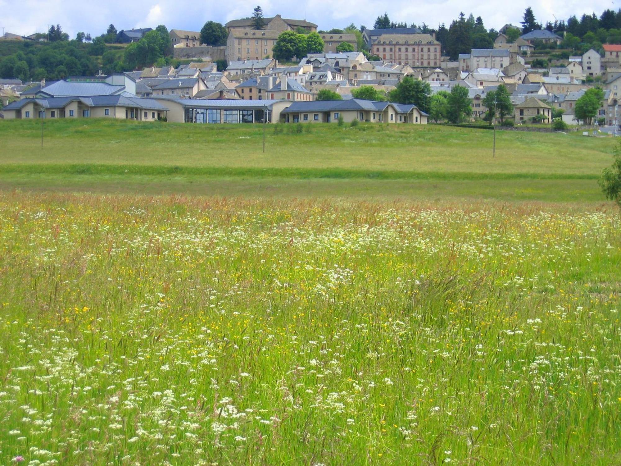 Lozere Aubrac Margeride Promo Appartement Saint-Alban-sur-Limagnole Buitenkant foto